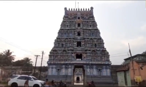 1500-old-temple-in-thiruvarur